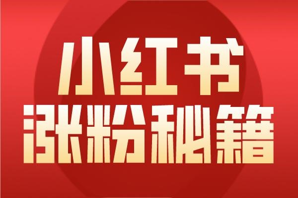 一个小红书账号是否可以多人共用？
